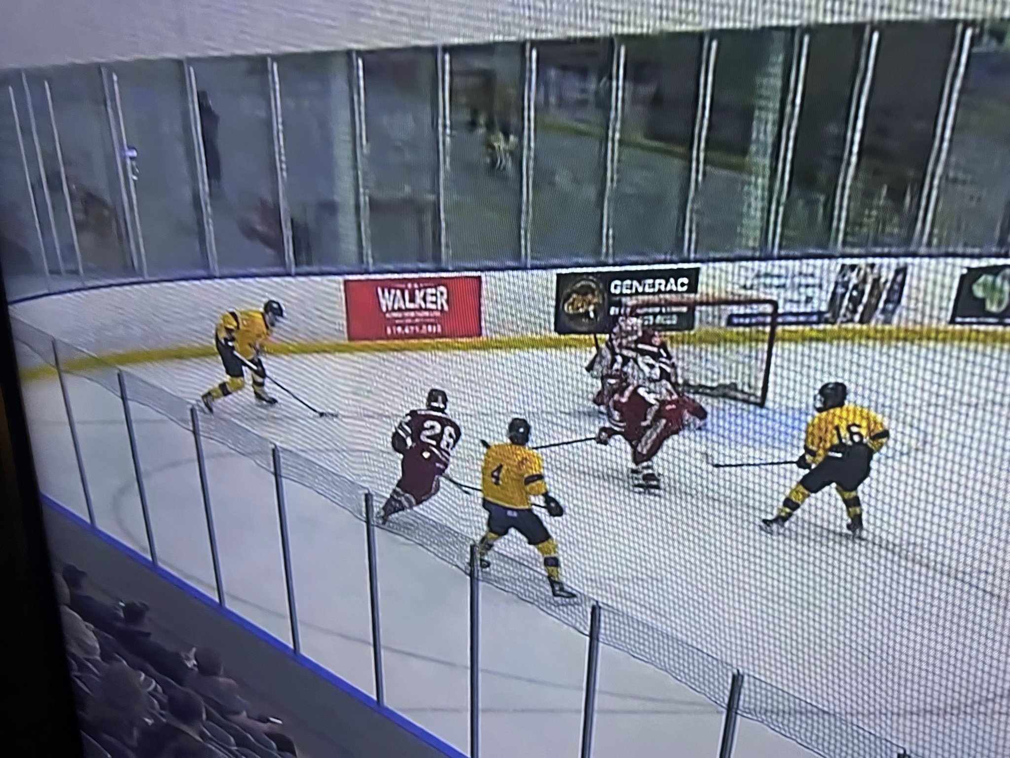 Walker Construction Rink Boards Sponsorship